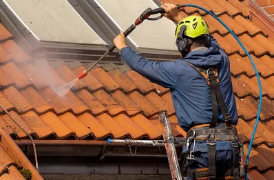 Démoussage et hydrofuge de toiture à Arrien-en-Bethmale